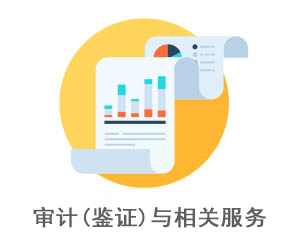 审计(鉴证)与相关服务