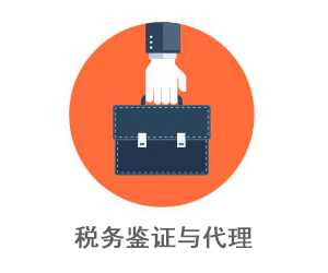 税务鉴证与代理