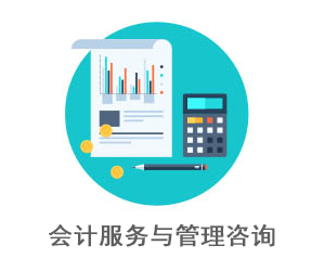 会计服务与管理咨询