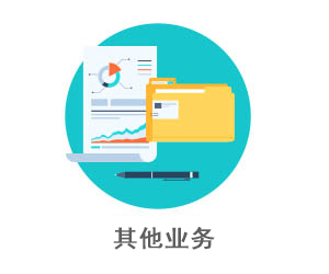 其他业务